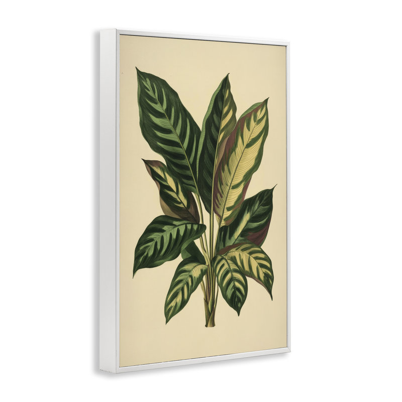 Giclée encadrée de feuilles tropicales à feuilles vertes, design par Petal Prints Design, H 18 po x l 12 po