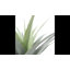 Agave 30 po plante artificielle avec pot