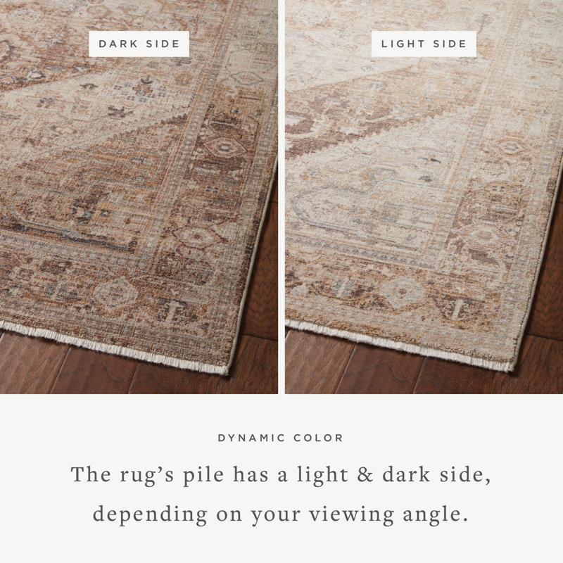 Lyra Oriental Indoor Rug, Rectangle 9'3" x 13'