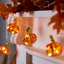 1cm Indoor / Outdoor String Lights