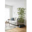 Silk Bamboo Tree in Planter