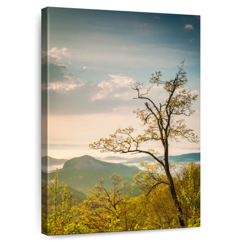 Harnek Blue Ridge Mountains Mist, H 24 po x l 16 po