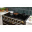 AGA Elise 48"W. 6 Cu.Ft. Freestanding Induction Convection Range with Antique Brass Trim-348013280-348013290