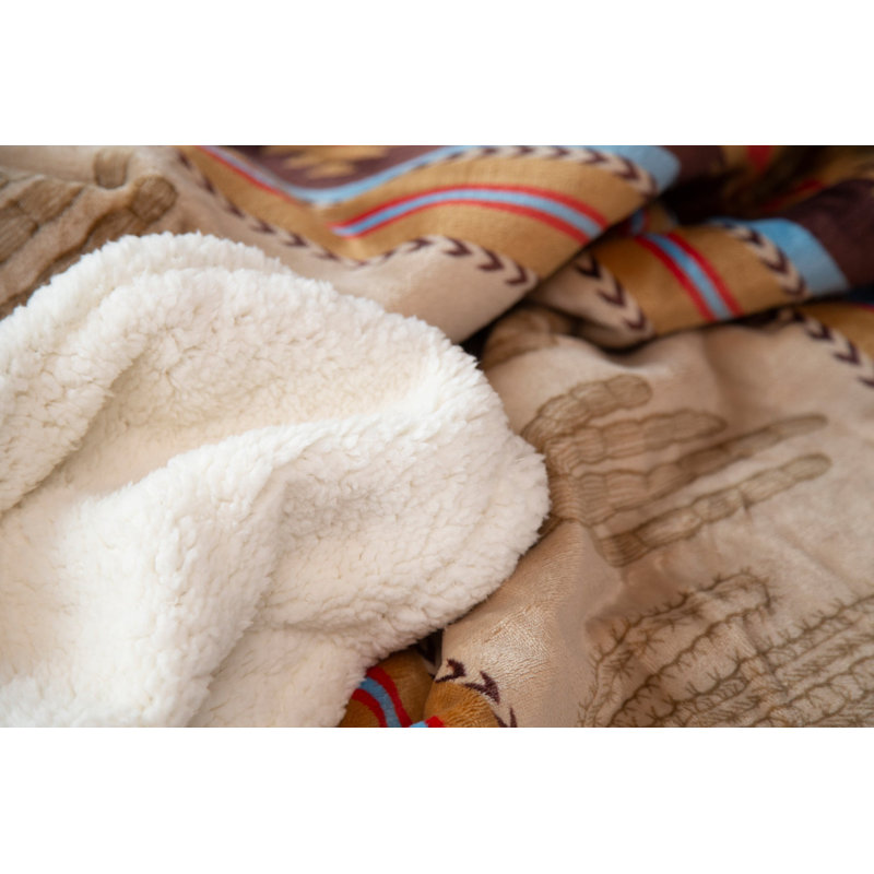 Southwestern Cactus Stripe Plush Sherpa Fleece Throw Blanket, 54" x 68"