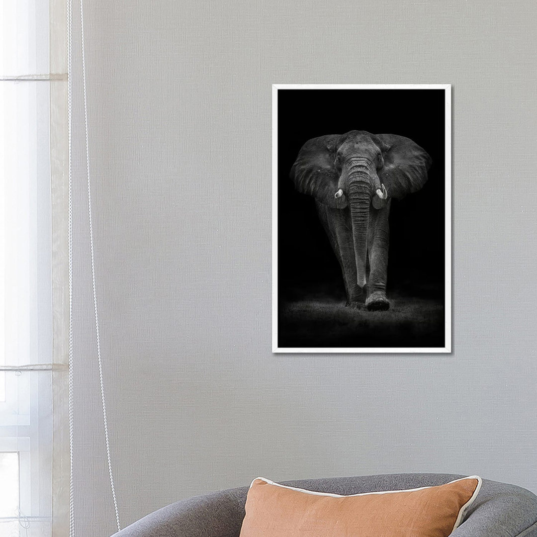 Ngorongoro Bull by Mario Moreno - Print on Canvas