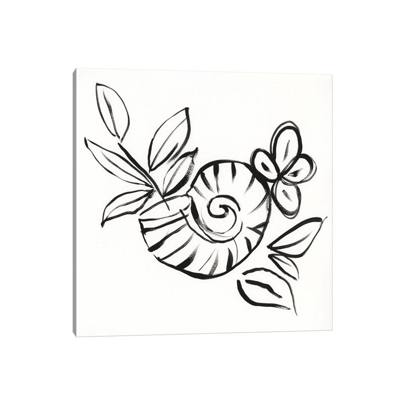 Shell Scrawl I by Jennifer Goldberger - Wrapped Canvas Painting, 45.72 cm H x 45.72 cm W x 3.175 cm D