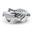 Coastal Giant Clam Serving Bowl
