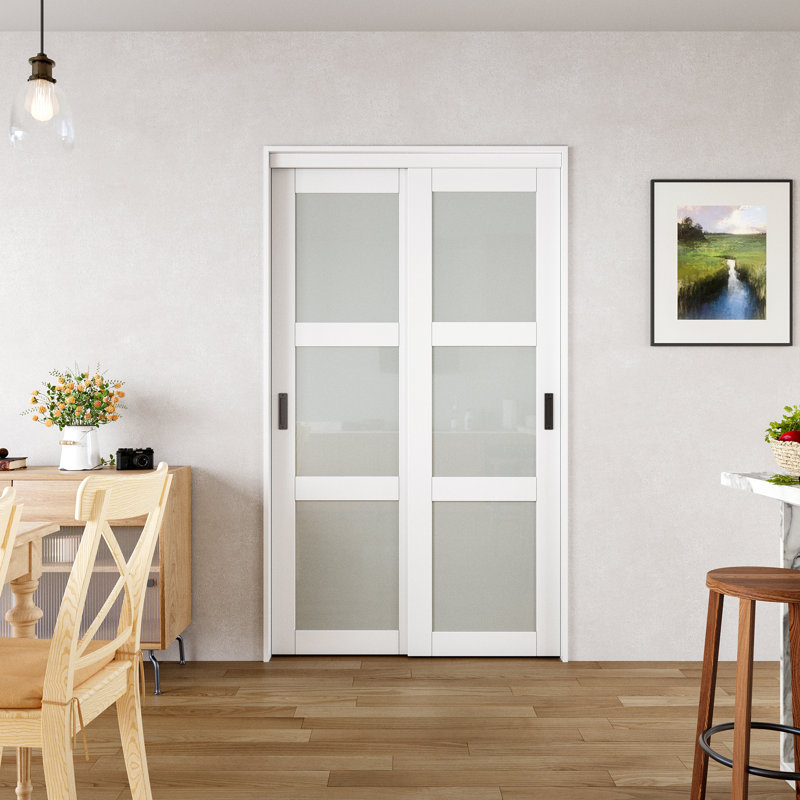 48 in. x 80 in. White Tempered Frosted Glass Sliding Closet Door