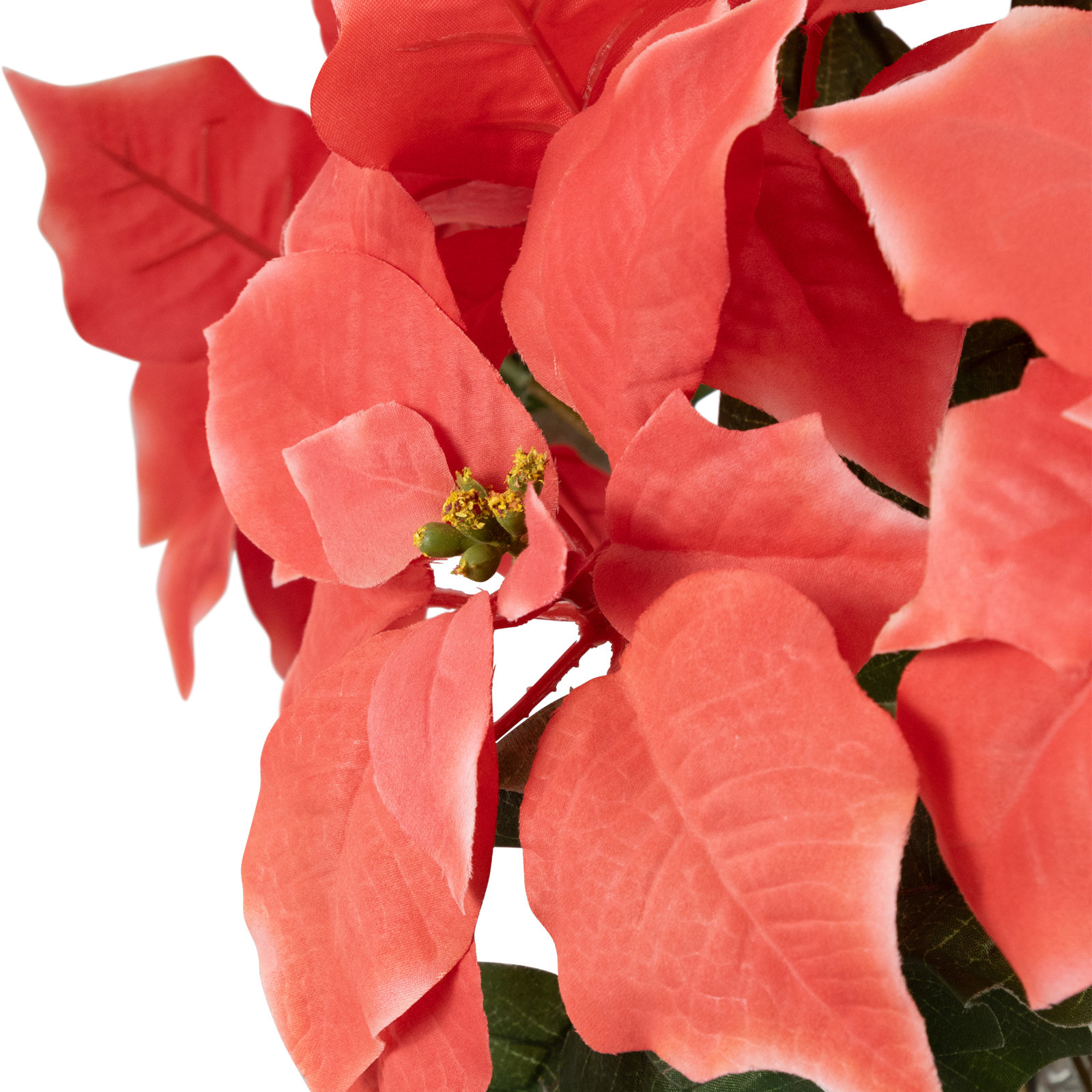 Poinsettia Arrangement, Pink, Gold, 28" H x 18" W x 18" D