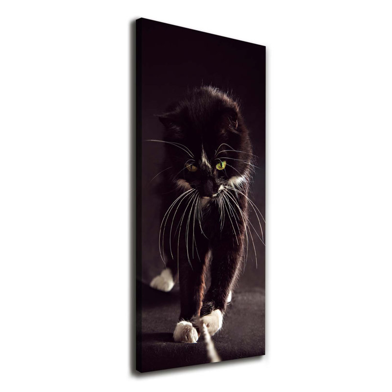 Black Cat - Wrapped Canvas Print