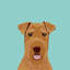 Airedale Terrier, impression sur toile tendue-19741520-74748097-74748098