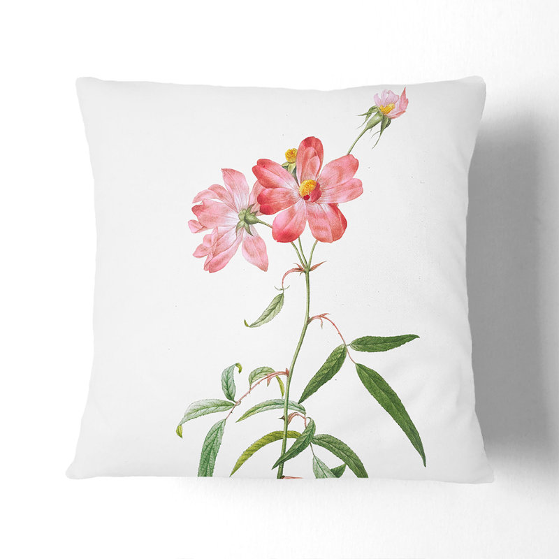 Peach-Leafed Roses by Pierre-Joseph Redoute Cushion with Filling, Black, 40cm H x 40cm W x 15cm D