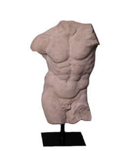 Statue de torse masculin Andrea Andrea