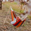 Barbados Double Hammock-36120859