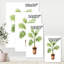 Palmier dans un pot de fleurs en argile - peinture sur toile-59284307-59365595