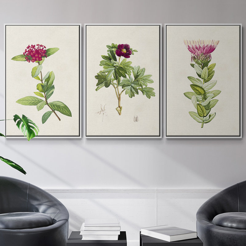 «Pretty Pink Botanicals II», ensemble de 3 toiles encadrées, H 36 po x l 72 po, Blanc