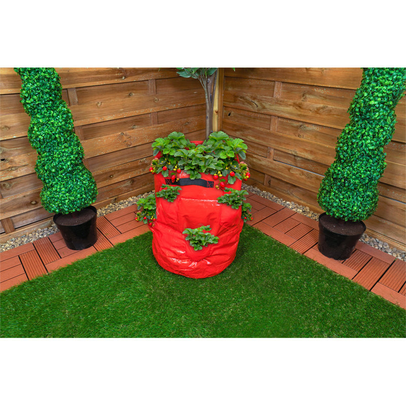 St. Helens Home & Garden Growing Kit