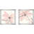 " Blush Clematis " 2 - Pieces