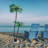 72'' Solar LED Lighted Trees & Branches
