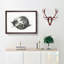 A Curled Cat by Jean Bernard - Framed Print-55457779-55457781