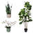 Artificial Fiddle Leaf Fig Tree with plants indoor decor home and office