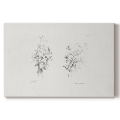 " Vintage Sketch-IX "