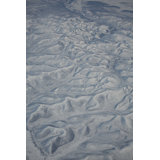 Sel Print by Francis Augustine