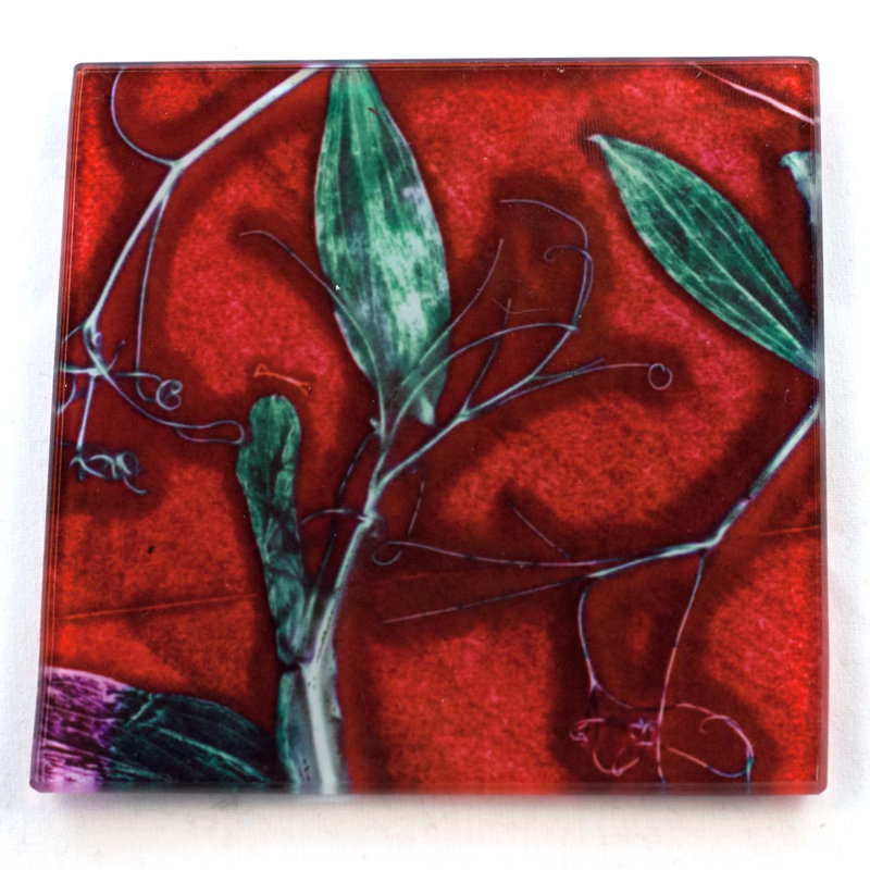 Glass Square 1 Piece Coaster, Red
