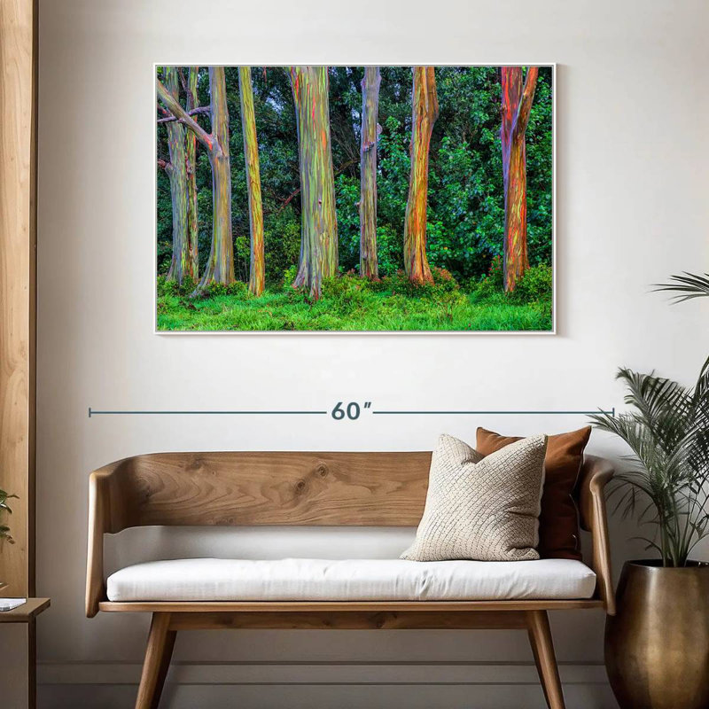 Eucalyptus arc-en-ciel, 46 po x 31 po, Cadre flottant blanc