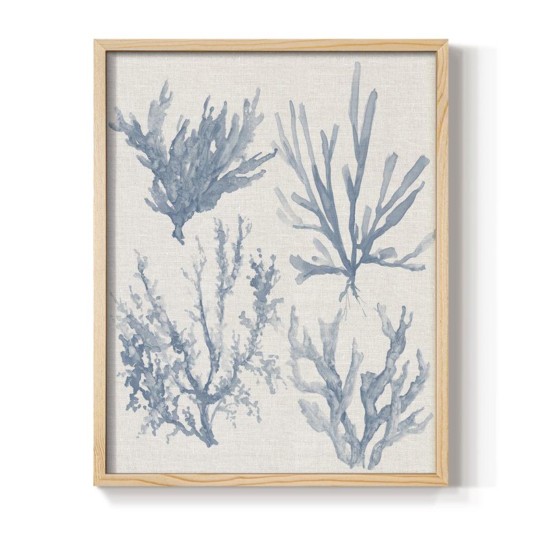 «Sea Coral Collection I», reproduction encadrée - bois massif, Naturel, H 15 po x l 12 po