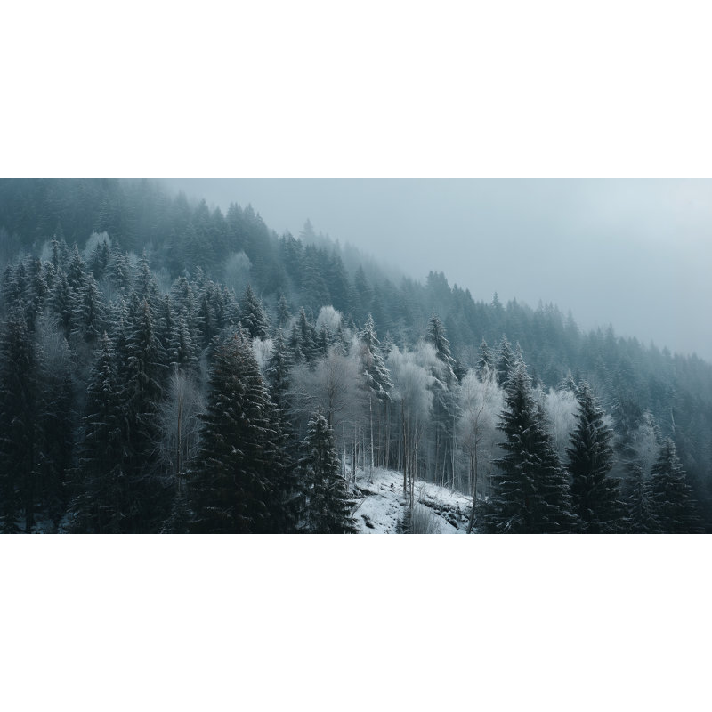 «Winter Twilight Forest», art mural sur toile tendue, 24 po x 48 po