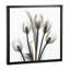 « doréy tulipes i » par albert koetsier,-print-49703853-49703856