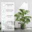 Naomi Grow Light