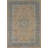 Traditional Area Rug 7x10