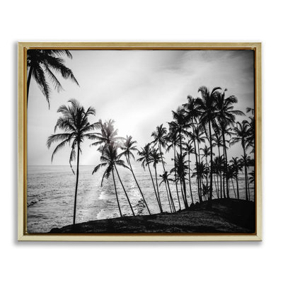 Cadre flottant soleil couchant San Diego, design par Susan Jill