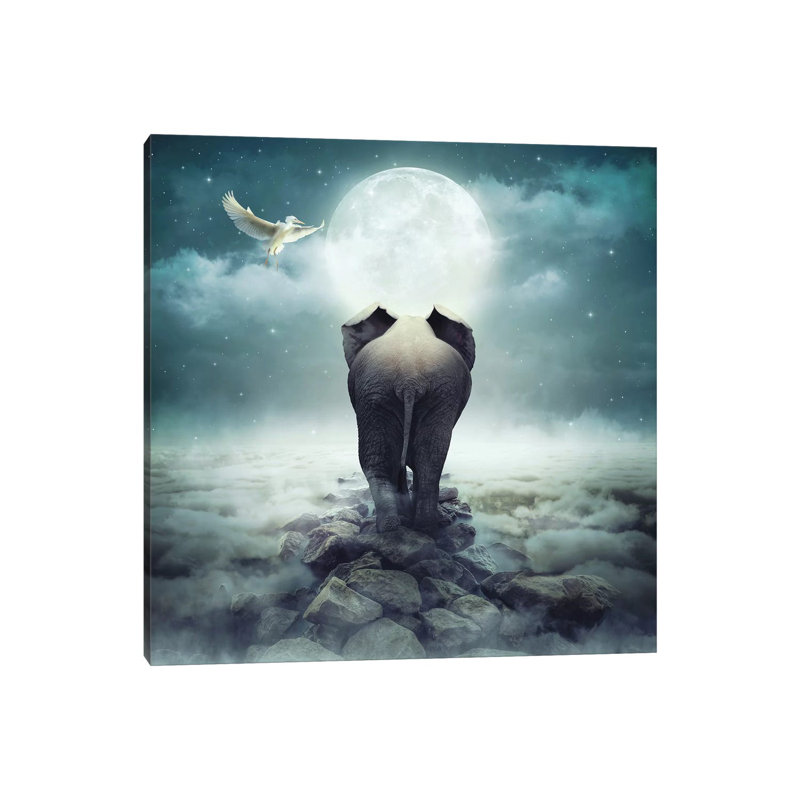 Darkness Of The Unknown - Wrapped Canvas Print, 30.48 cm H x 30.48 cm W