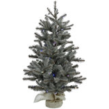 Lighted Pine Christmas Tree