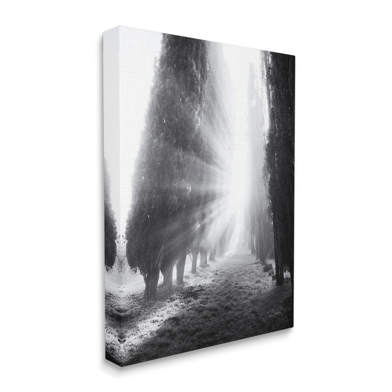 Sun Rays & Hedge Grove Canvas Wall Art Design By Aledanda, 20" H x 16" W