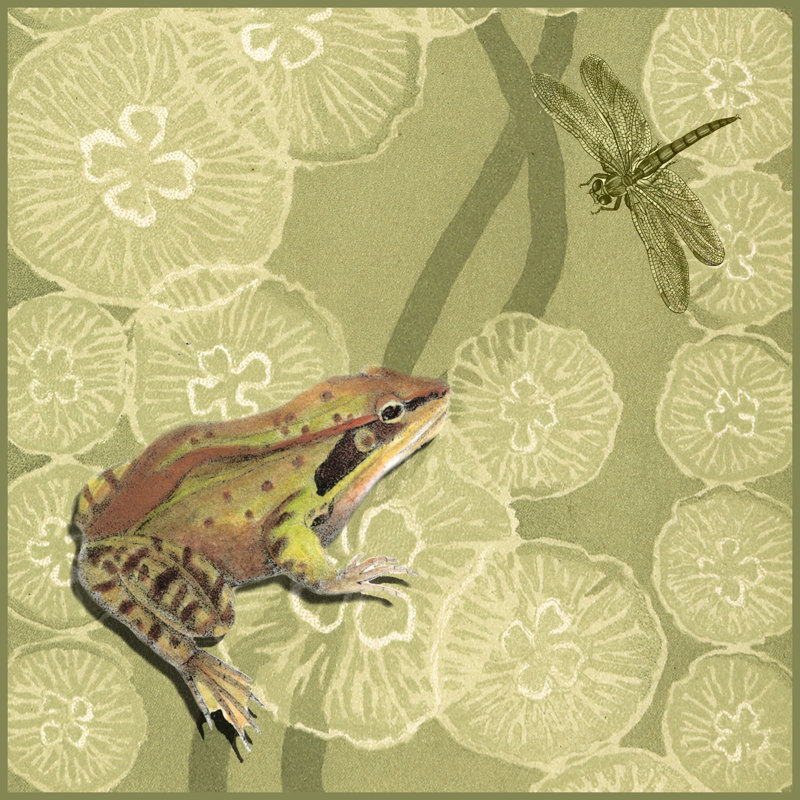 Frog Fable I by Vision Studio - Wrapped Canvas Painting, 30cm H x 30cm W x 3.8cm D