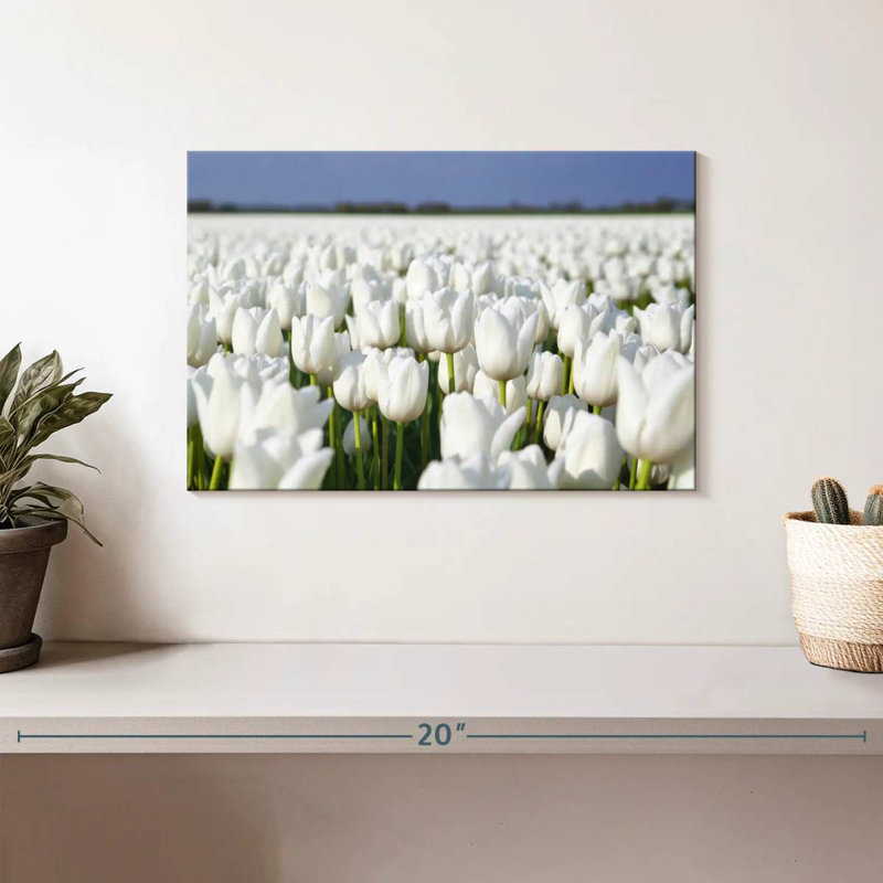 Alvord Endless White Tulips, 8" H x 12" W
