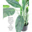 Plante artificielle en pot