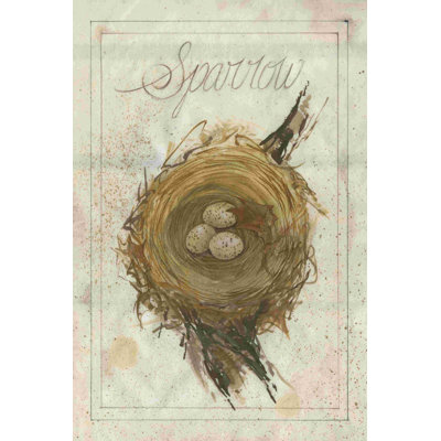 " Nest - Sparrow "