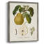 Vintage Pears I, reproduction encadrée - bois massif-1660128701