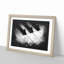 Keyboard Keys - Picture Frame Graphic Art Print-56863535-56863536