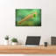 Vibrant Insect On Grass Vibrant Contemporary Nature Plant Wall Art Print 1 Piece Wrapped Canvas Wall Art-1522396982