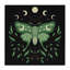 Art mural sur toile Celestial Moth & Botanicals-1354864655