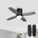 Karlena 36'' Ceiling Fan with LED Lights and Remote Control for Bedroom