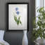 Peinture botanique bleue vive II-789340630-789340624