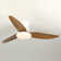Karlena 40'' Ceiling Fan with LED Lights and Remote Control
