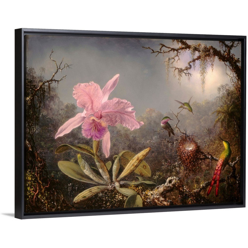 «Cattleya Orchid and Three Hummingbirds, 1871» par Martin Johnson Heade, reproduction sur toile, Toile avec cadre noir